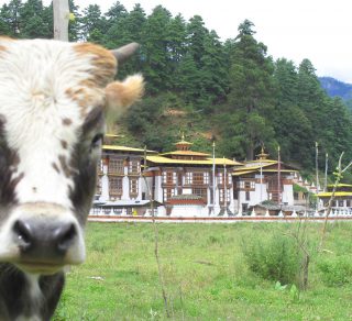 Kurjey Lhakhang (temple)