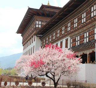 Tashichhodzong